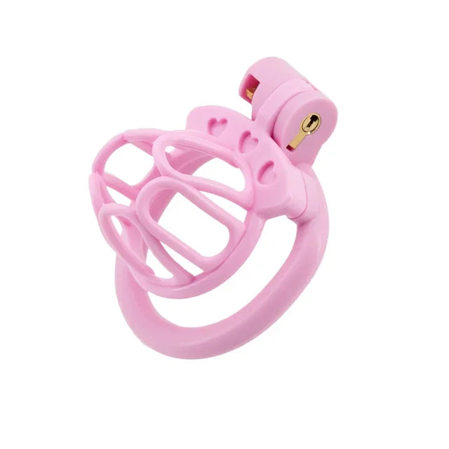 Sissy Chastity Cage With 4 Rings