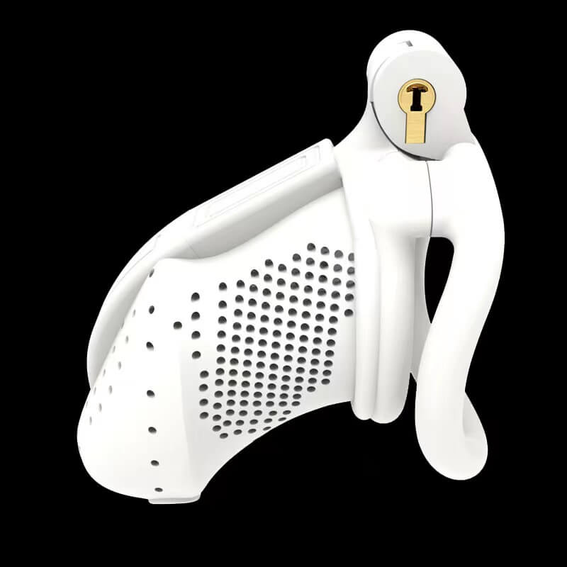 3D Wasps Honeycomb Chastity Cage