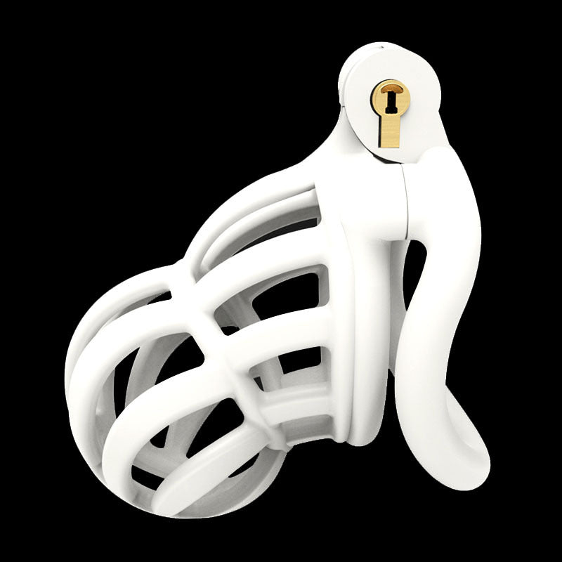 3D Narrow Face Stegosaurus Chastity Device Kit
