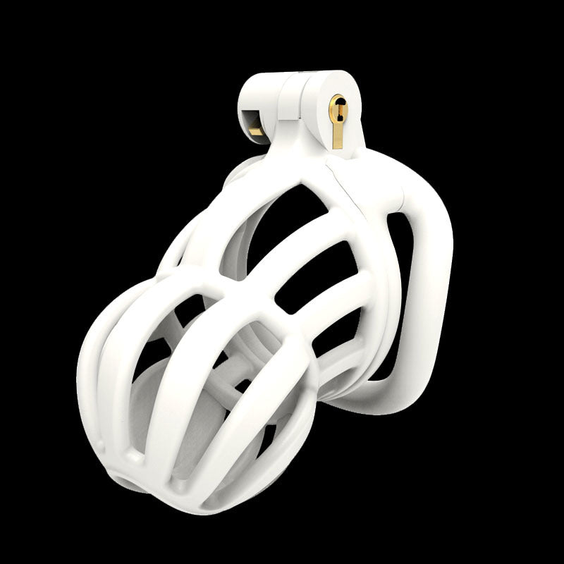 3D Narrow Face Stegosaurus Chastity Device Kit