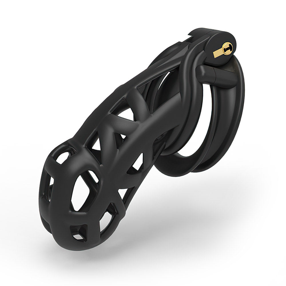 Cobra Male Chastity Device Kit