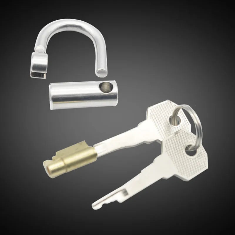 Peniskäfig aus Edelstahl mit PA-Schloss und D-Ring