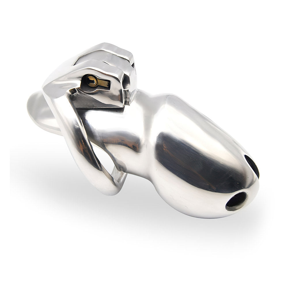 Holy Trainer Chastity Cage