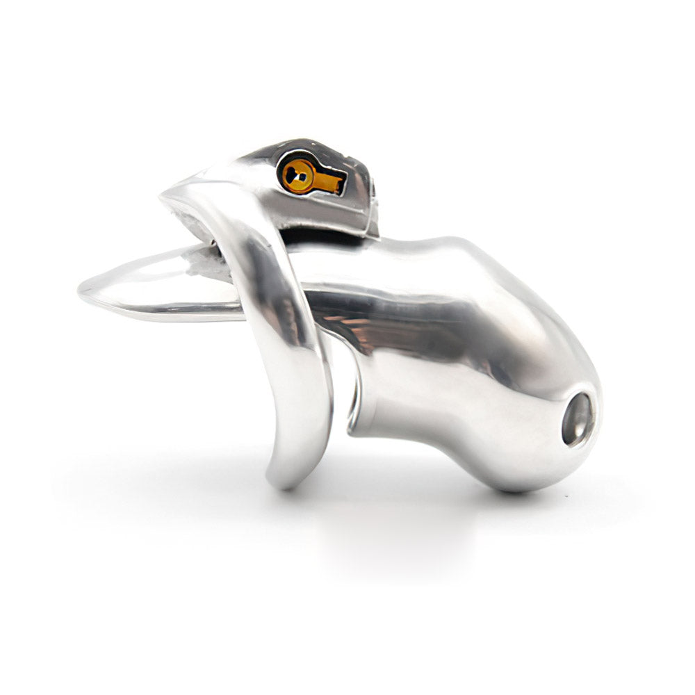 Holy Trainer Chastity Cage