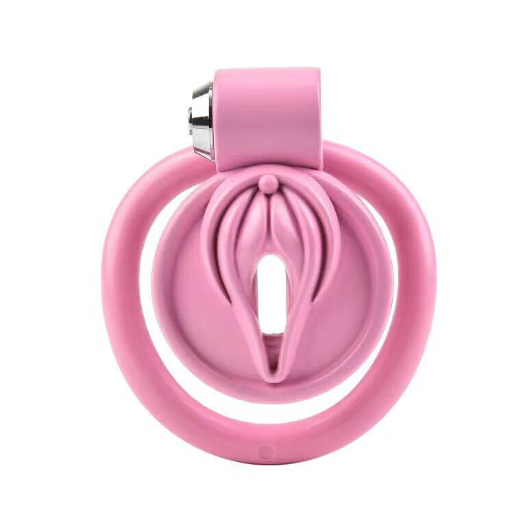 Cage de chasteté pour chatte avec suivi de bondage BDSM