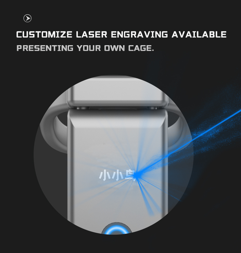 Cagink Micro Chastity Cage - customize name