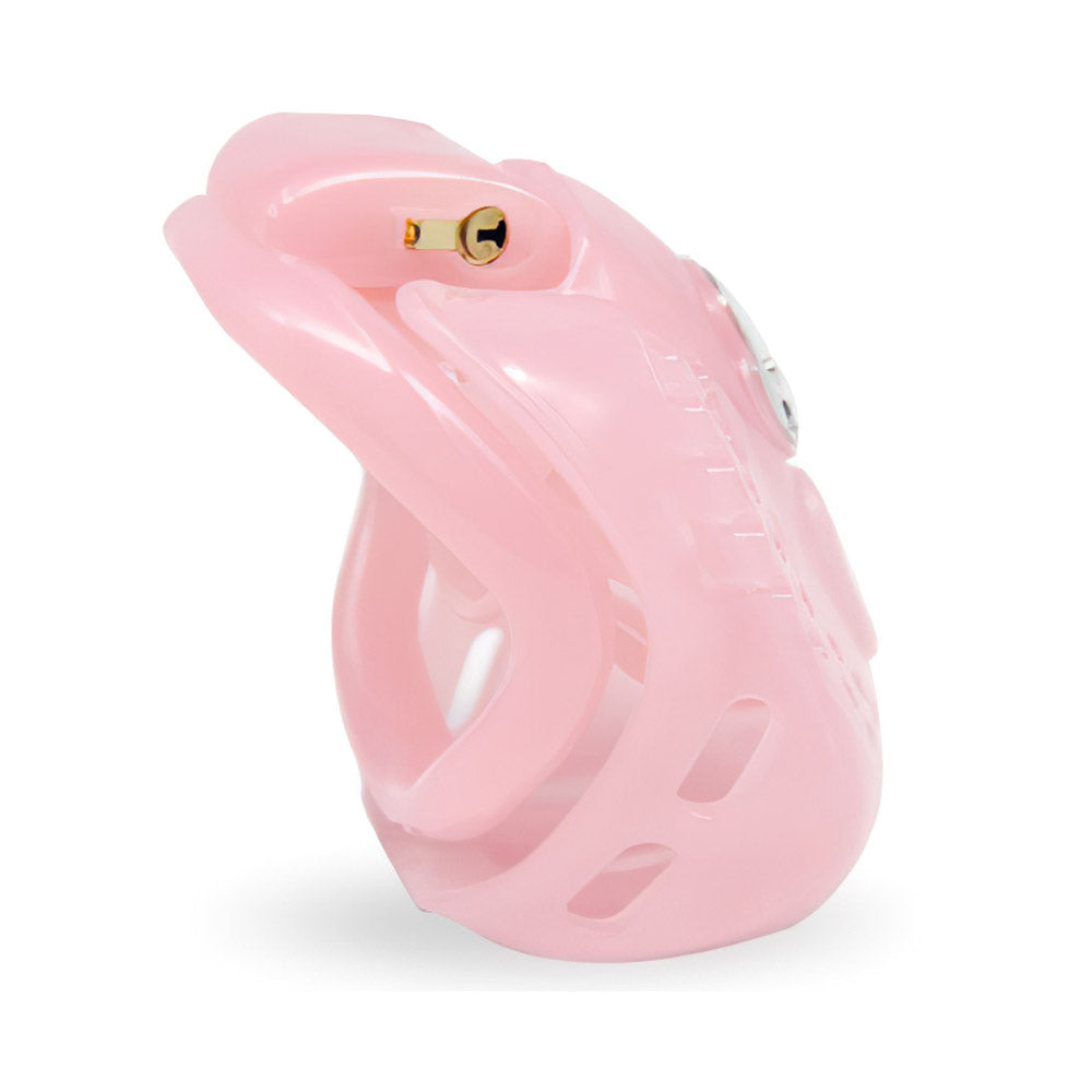 Full Coverage Chastity Cage