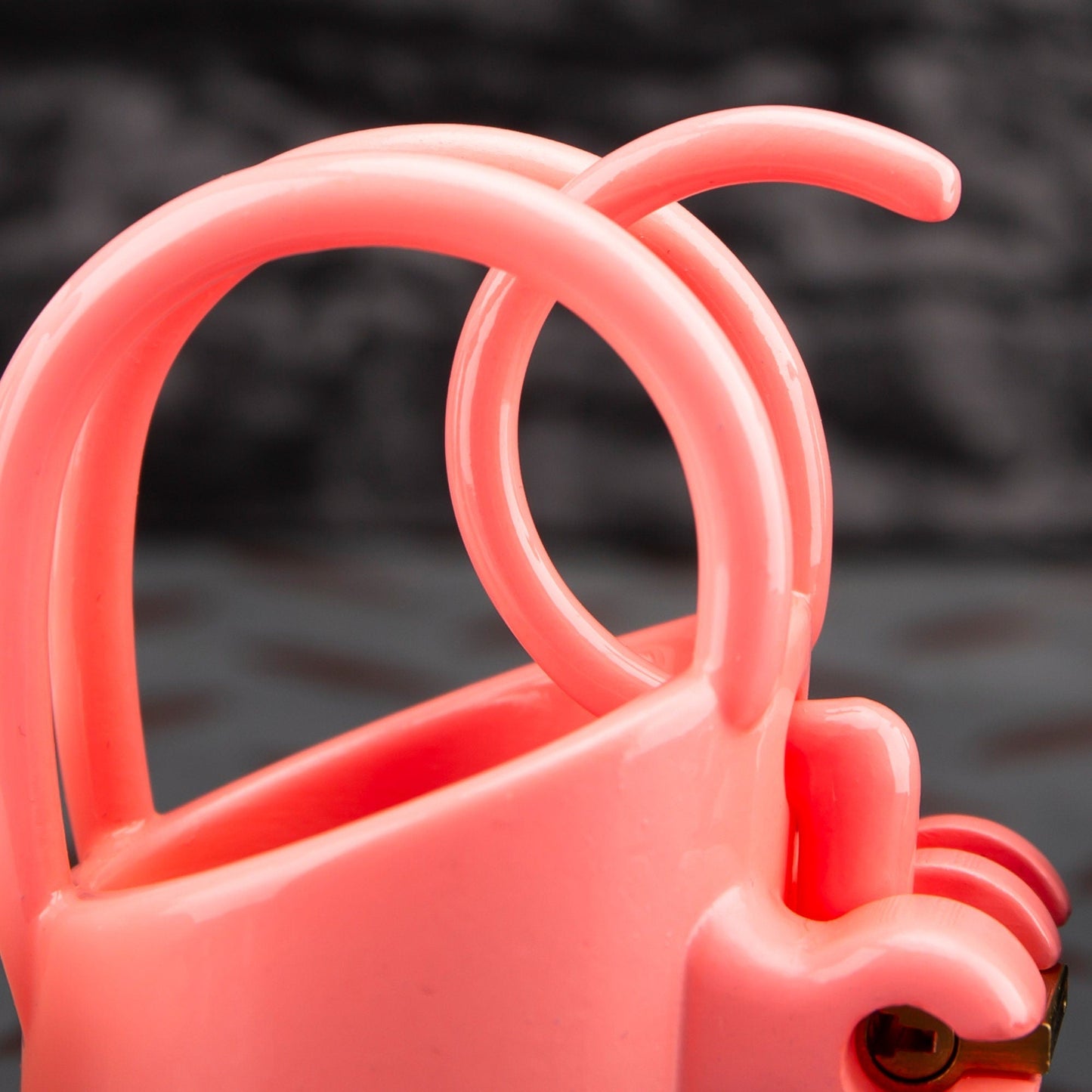 PA Custom Male Chastity Cage