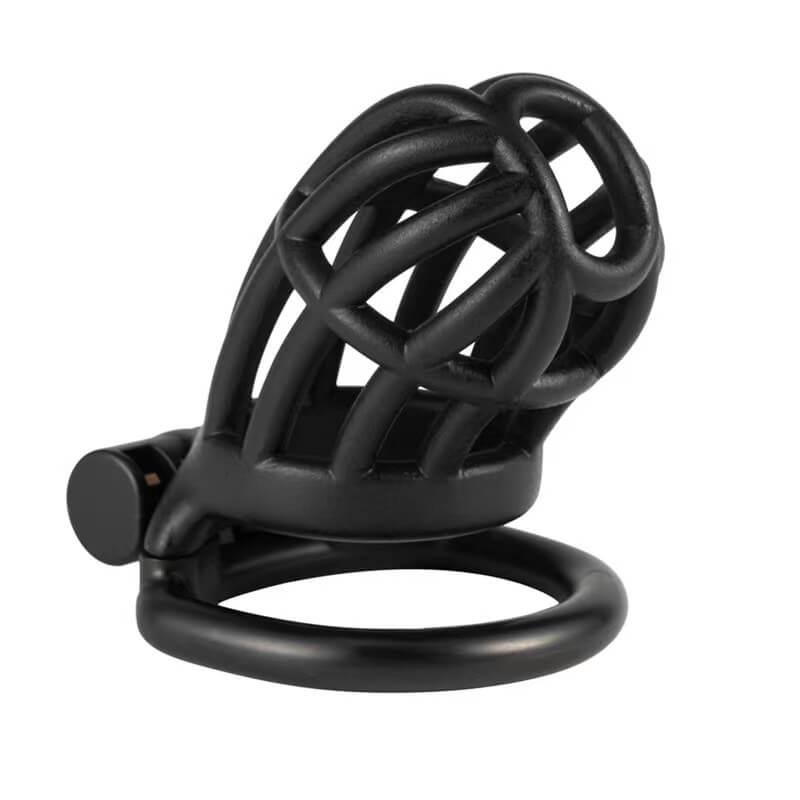 Cage à cochons Dispositif de chasteté portable pour hommes