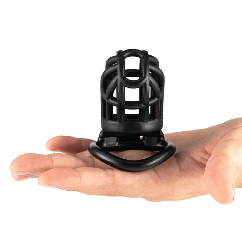 Cage à cochons Dispositif de chasteté portable pour hommes