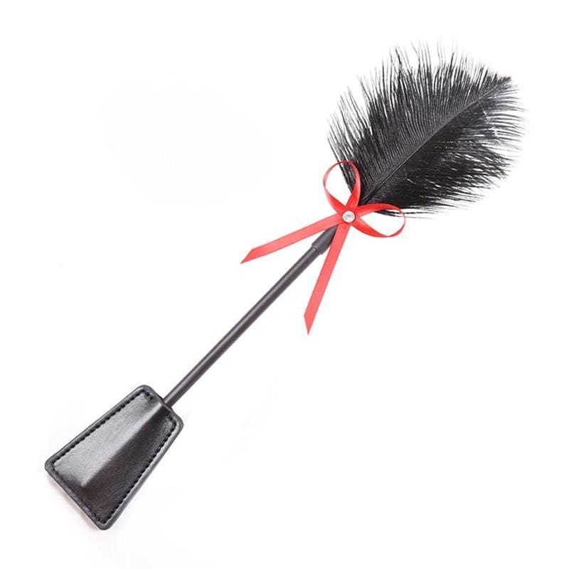 Fouet à plumes pour récompense et punition
