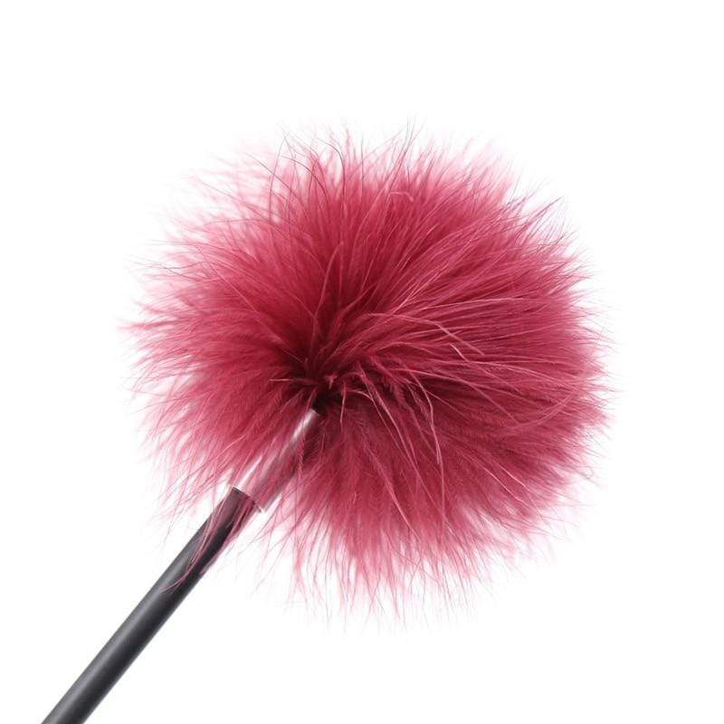 Fouet à plumes pour récompense et punition