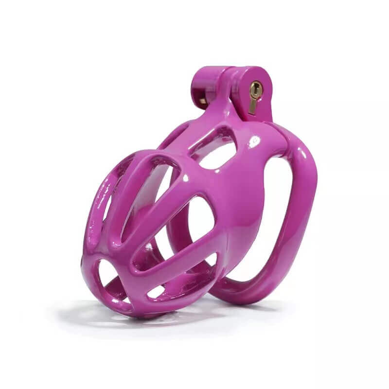 Kit de cage de chasteté Purple Stripe Cobra de 1,77 à 4,13 pouces de long