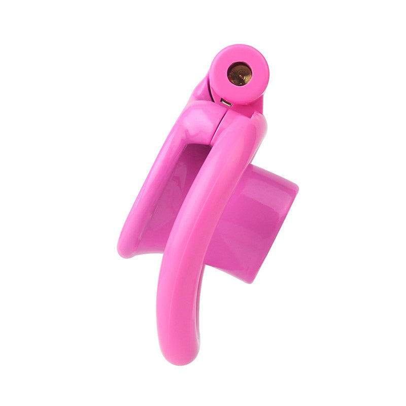Resin Sissy Inverted Cock Cage