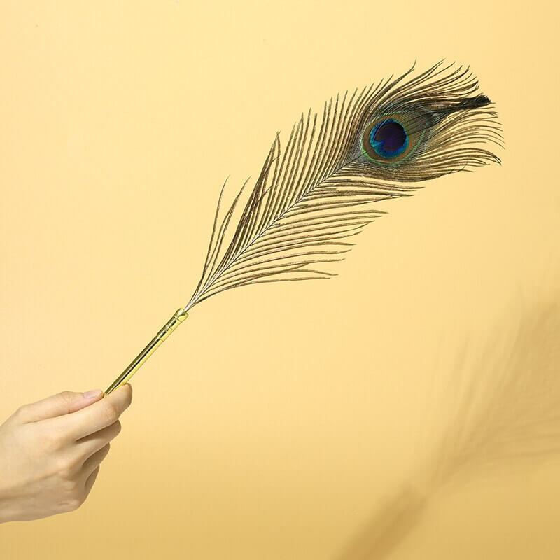 Sexual Flirtation Feather Set