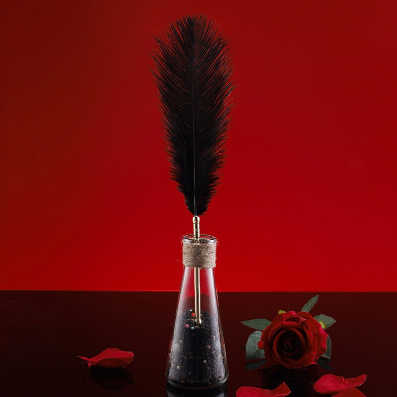 Sexual Flirtation Feather Set