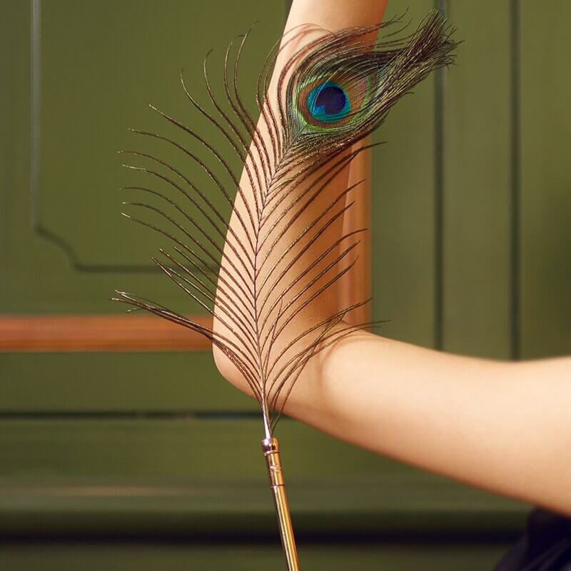 Sexual Flirtation Feather Set