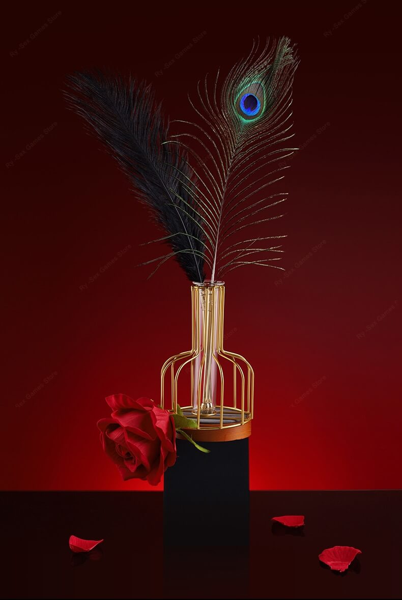 Sexual Flirtation Feather Set