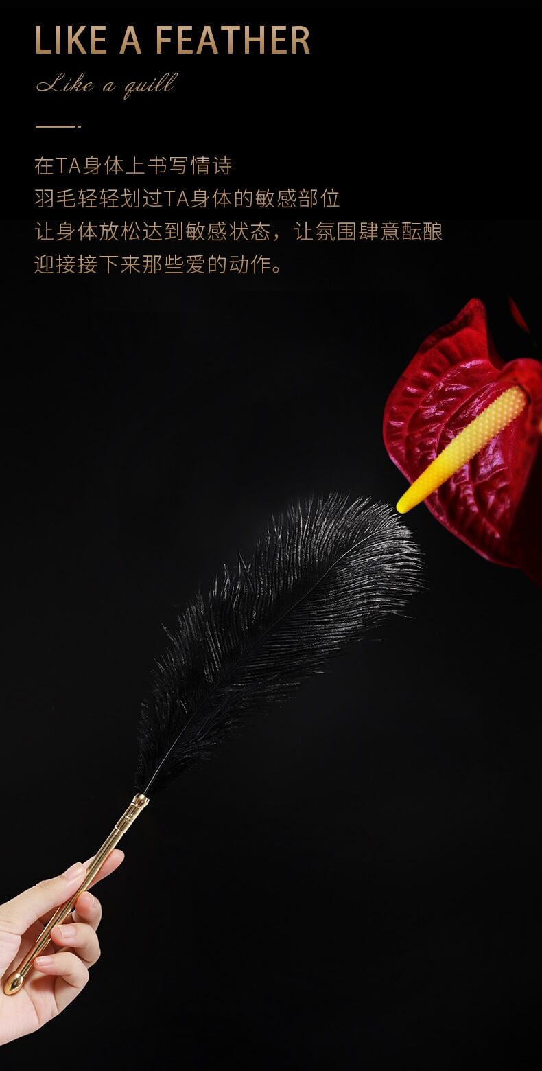 Sexual Flirtation Feather Set