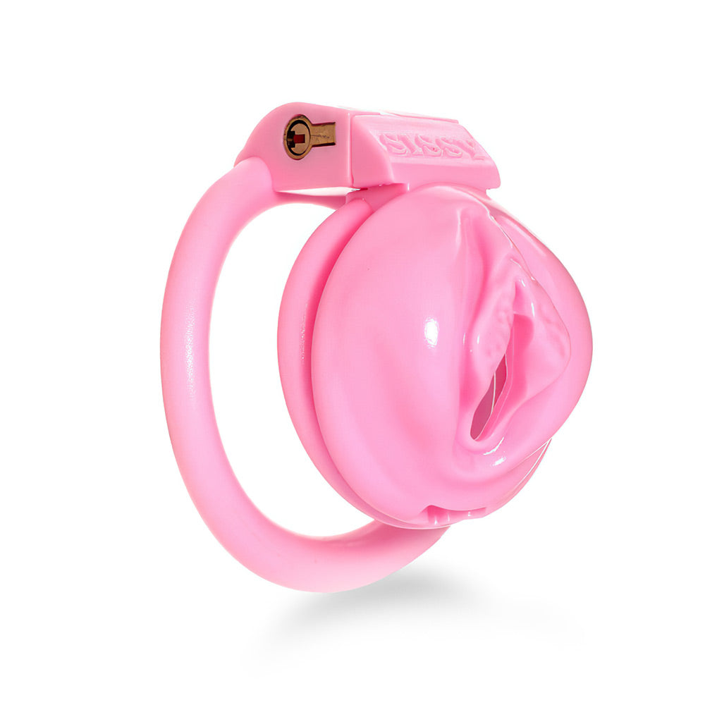 Sissy Labia Chastity Cage