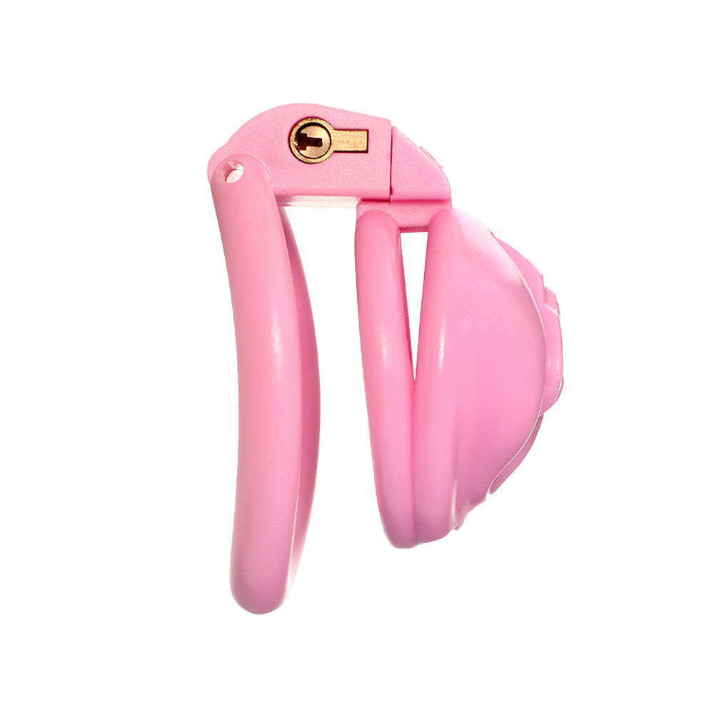 Sissy Labia Chastity Cage
