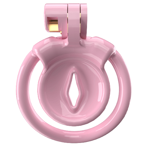 Superkleiner XX-1 Sissy-Keuschheitskäfig mit 5 Bogenringen