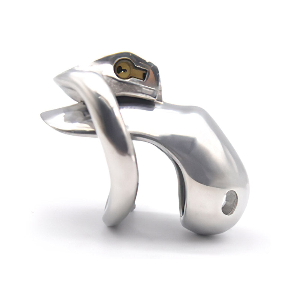 Holy Trainer Chastity Cage