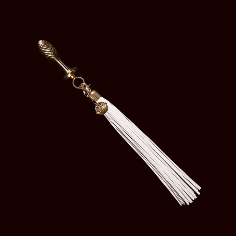 Plug anal en métal amovible avec fouet