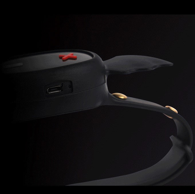 Little Devil Collar Electric Shock Collar