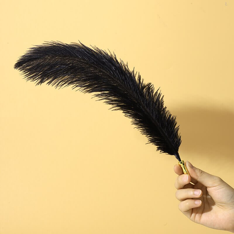 Ensemble de plumes de flirt sexuel BDSM