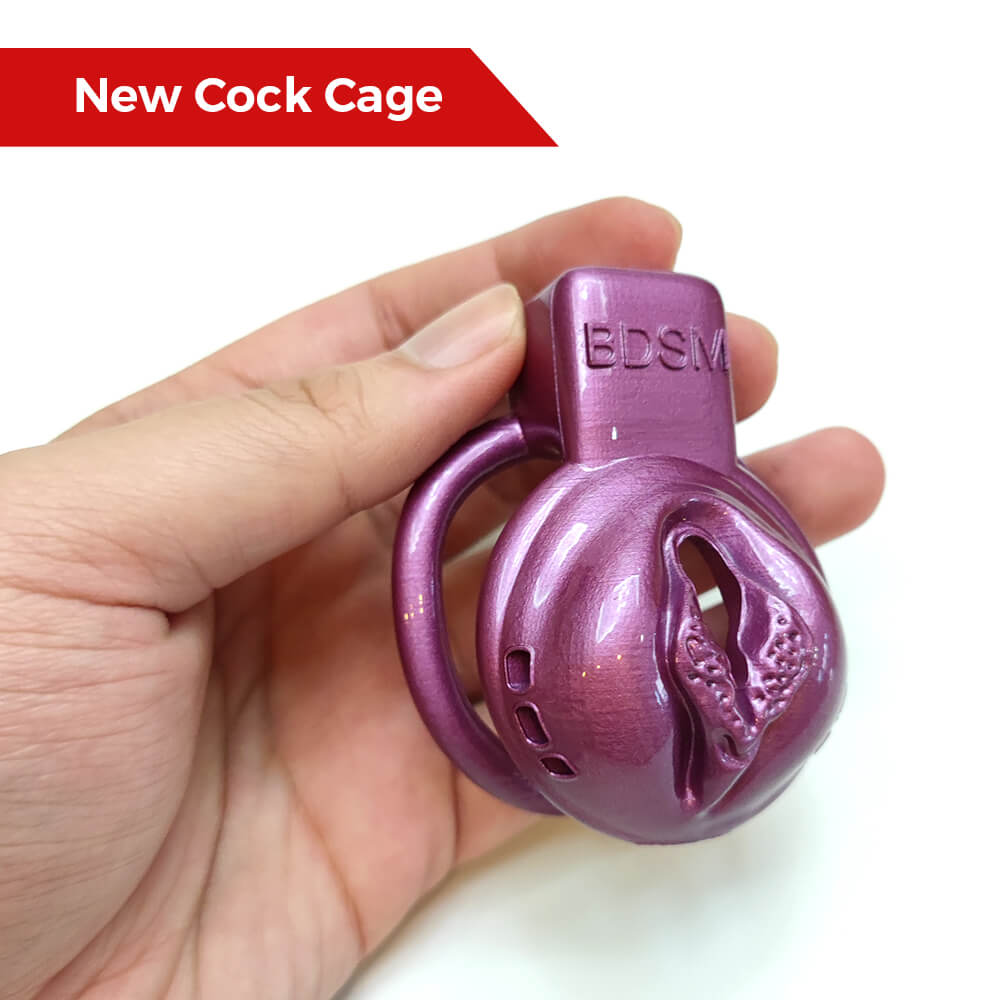 BDSM Vaginal Chastity Cage