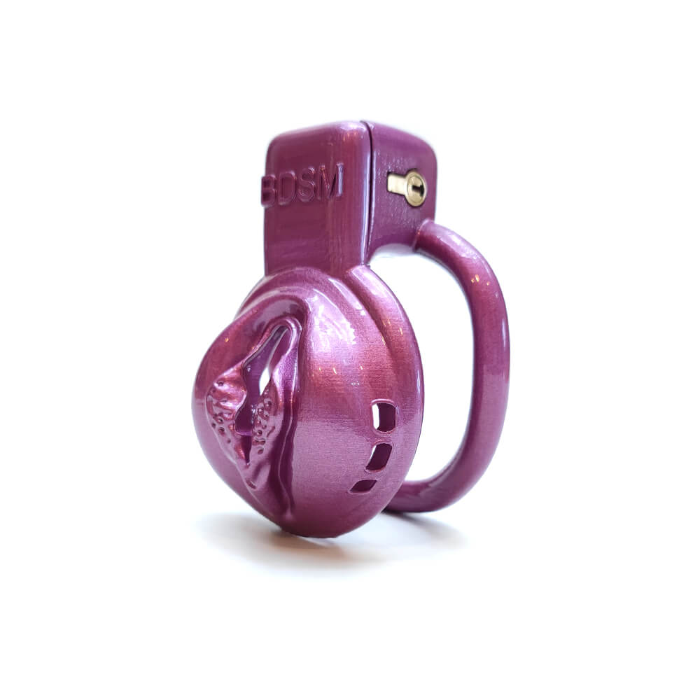 BDSM Vaginal Chastity Cage