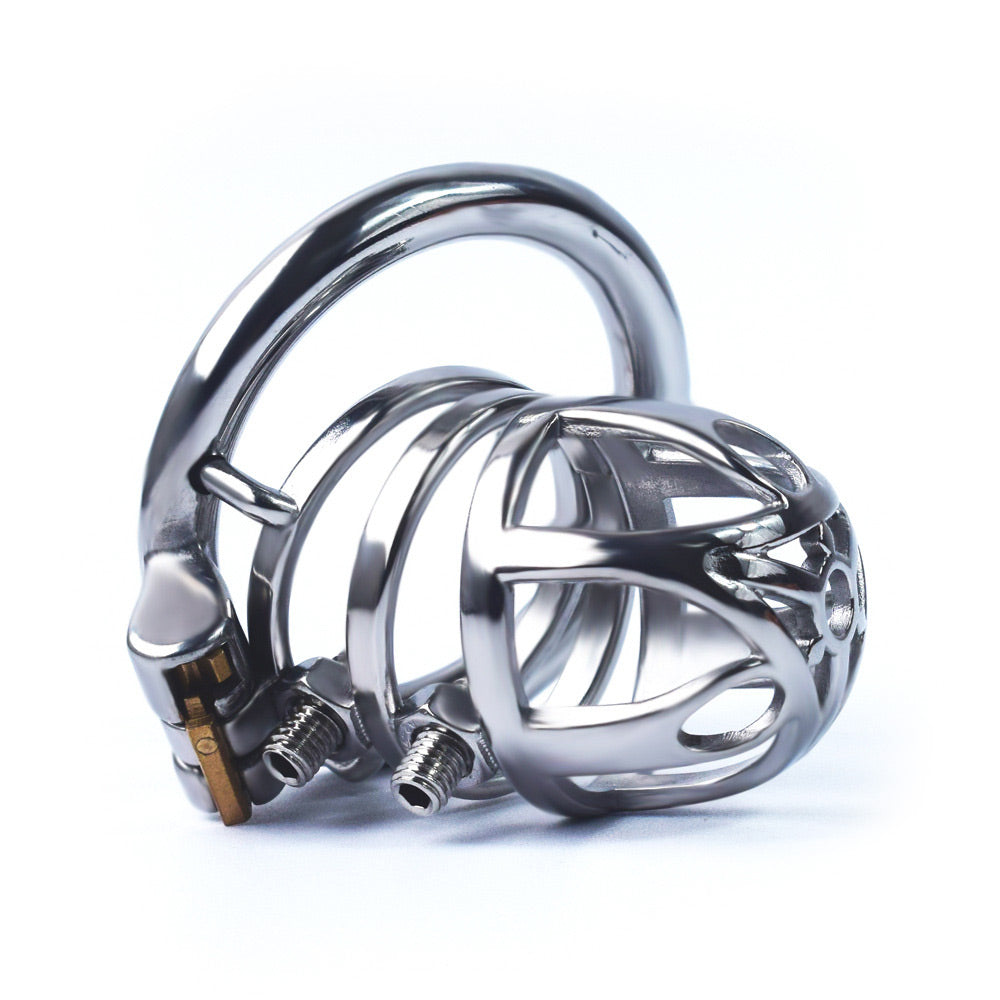 Chastity Cage With Spikes