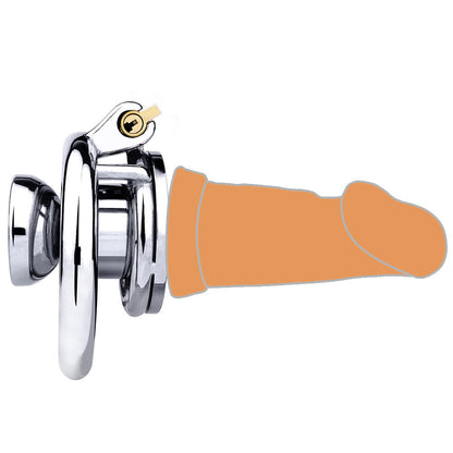 Cock In Chastity With Dildo