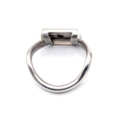 "Comfortable Male Chastity / Electronic Male Chastity“ Accessory Ring