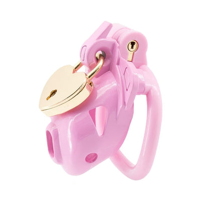 Double Lock Lightweight Chastity Cage 4