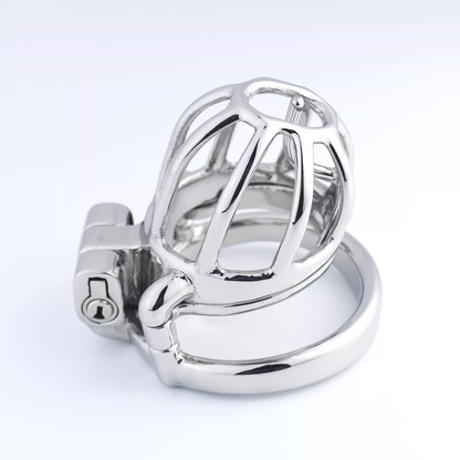 Steel Custom Chastity Cage With PA T14 - 1