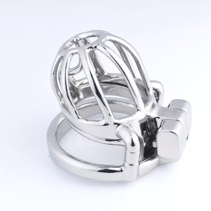 Steel Custom Chastity Cage With PA T14 - 5