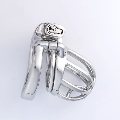 Steel Custom Chastity Cage With PA T14 - 7