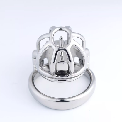Steel Custom Chastity Cage With PA T14 - 8