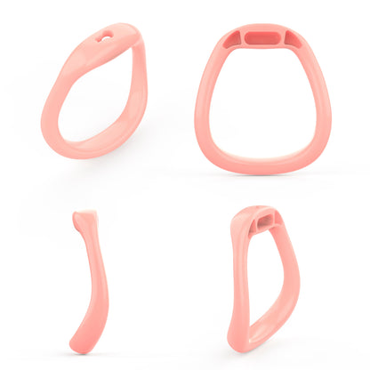 Pussy Hole Chastity Cage