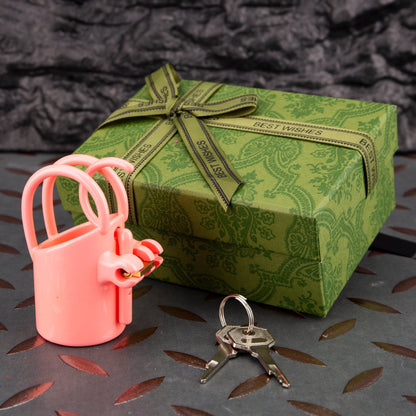 PA Custom Male Chastity Cage