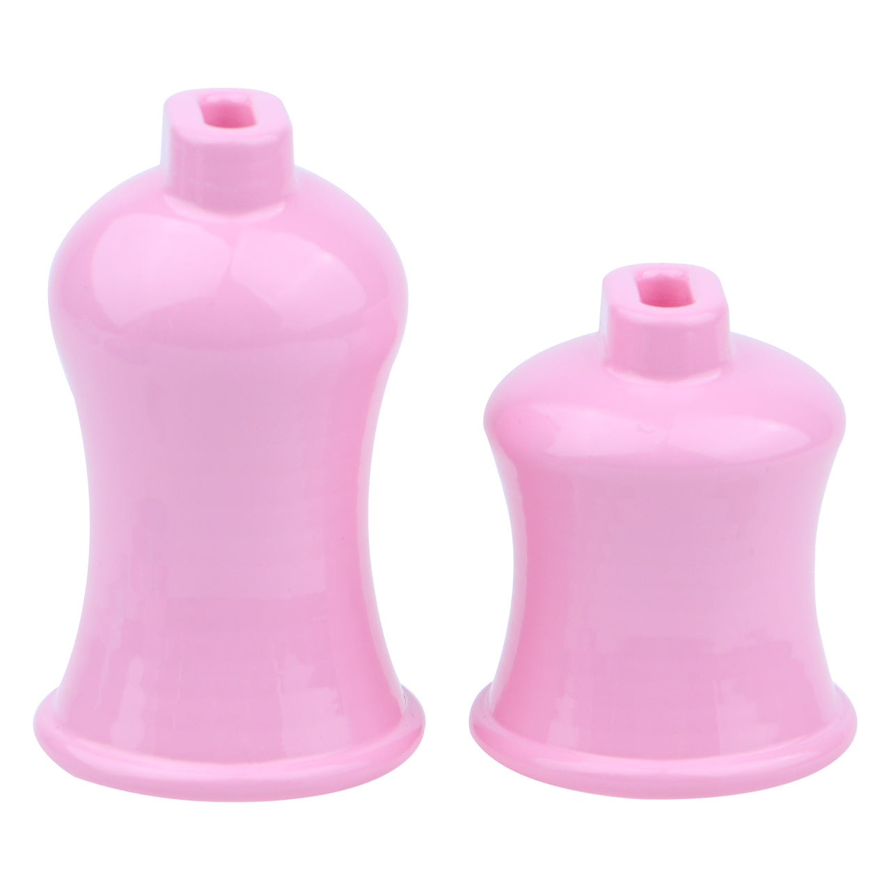 Demon's Wings Chastity Cage