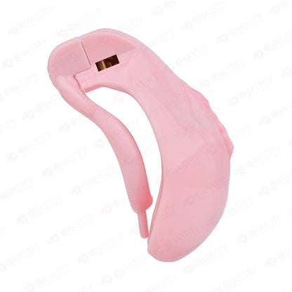 Pussy Chastity Cage With Wearable Butt Plug