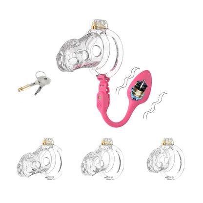 Silicone Chastity Cage with Vibrator Anal Plug