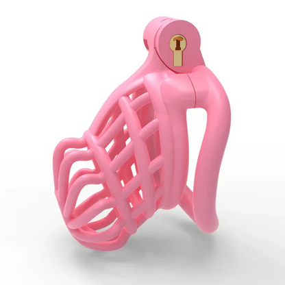 Sissy Male Chastity Cage -arc ring