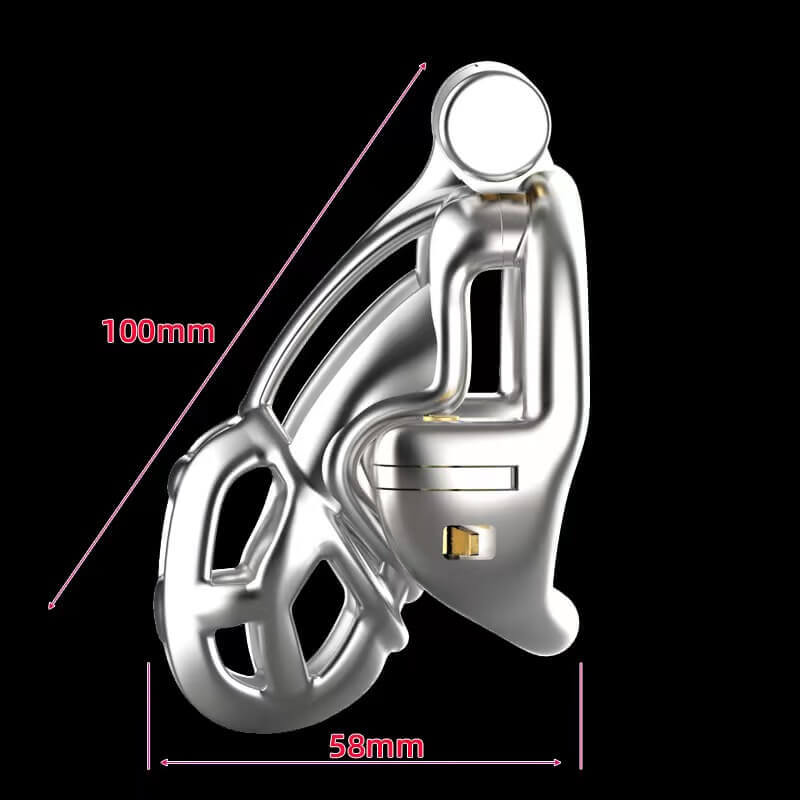 Cage à pénis Mamba à double verrouillage en acier inoxydable