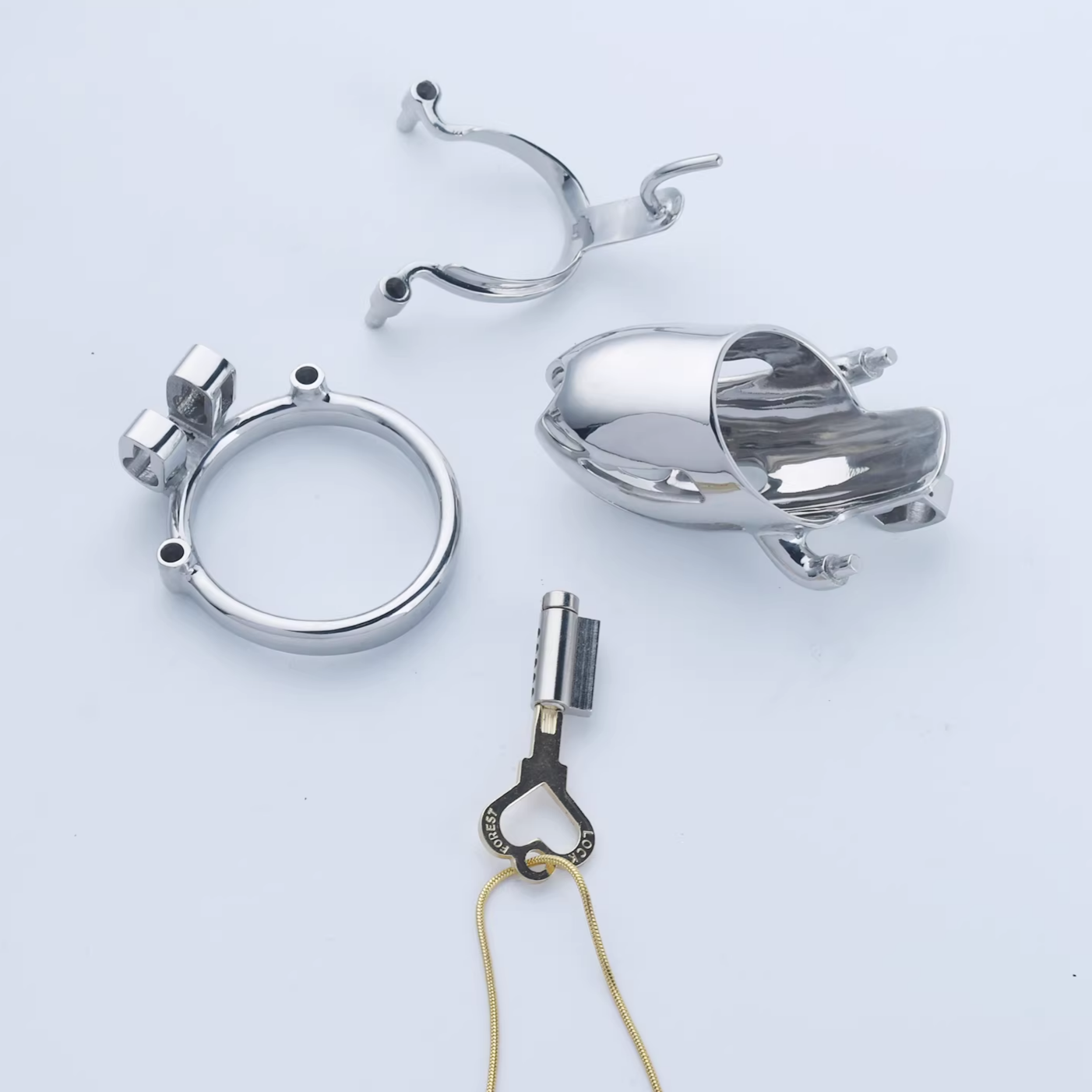 Steel Custom Chastity Cage With PA T12 - 4