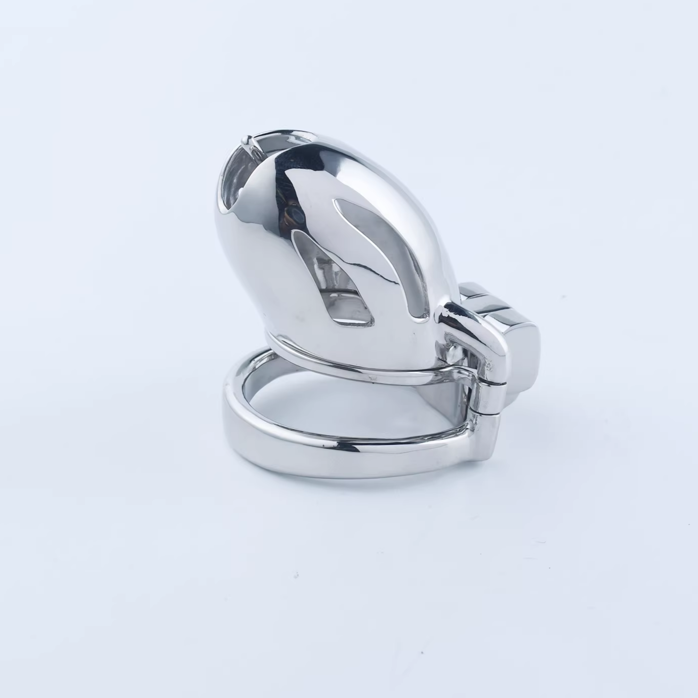 Steel Custom Chastity Cage With PA T12 - 2