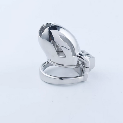Steel Custom Chastity Cage With PA T12 - 2